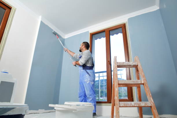 Best Post-Construction Mold Inspection  in Algonac, MI