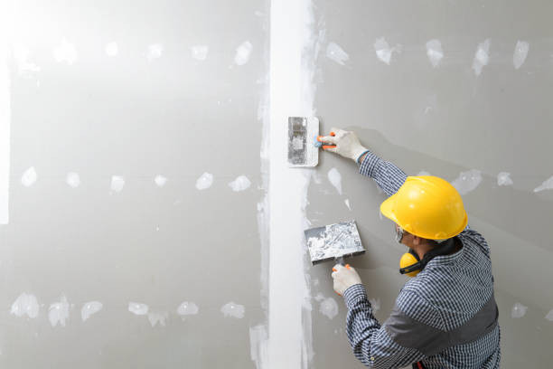 Best Emergency Mold Remediation  in Algonac, MI