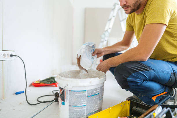 Professional Mold Removal in Algonac, MI