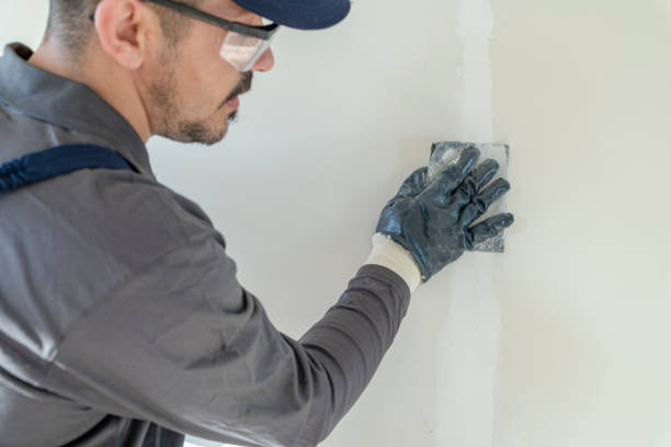 Best Water Damage & Mold Remediation  in Algonac, MI