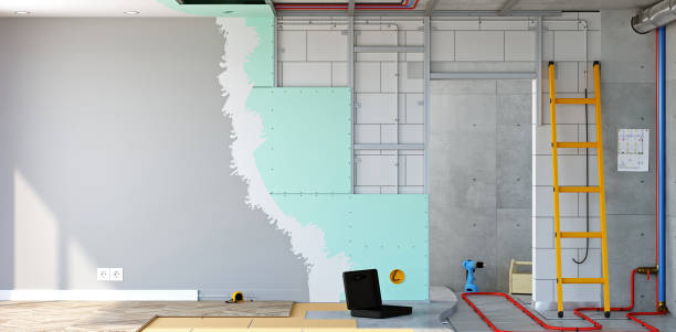 Best Real Estate Mold Inspection  in Algonac, MI