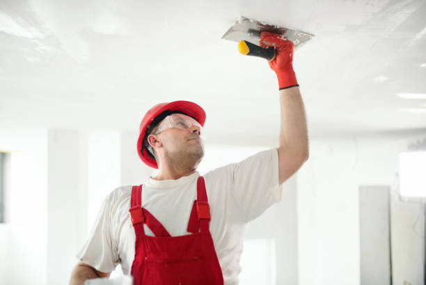 Best Mold Documentation for Insurance Claims  in Algonac, MI