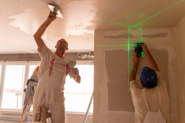 Best Asbestos and Lead Testing During Mold Inspection  in Algonac, MI
