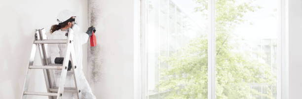 Best Dehumidification Services  in Algonac, MI