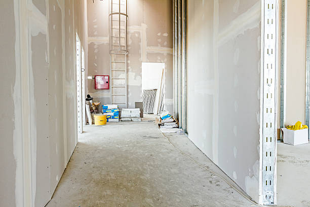 Best Black Mold Removal  in Algonac, MI